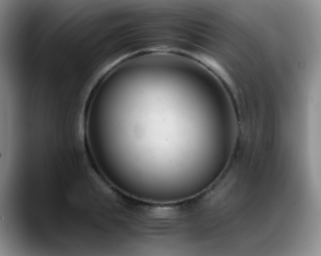 X0000089450839200706151430