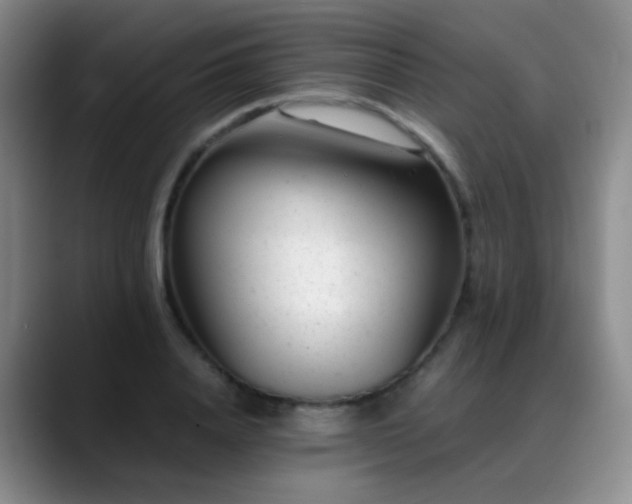 X0000089450840200706151430