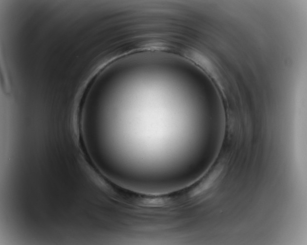 X0000089450843200706151430