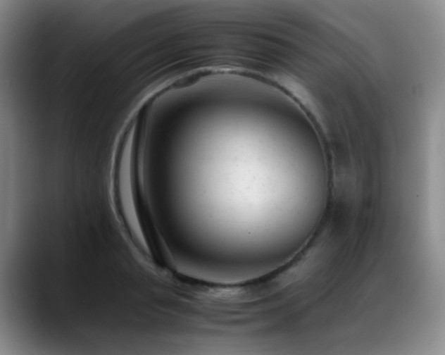 X0000089450845200706151430