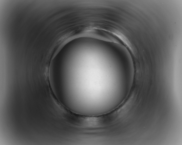 X0000089450849200706151430