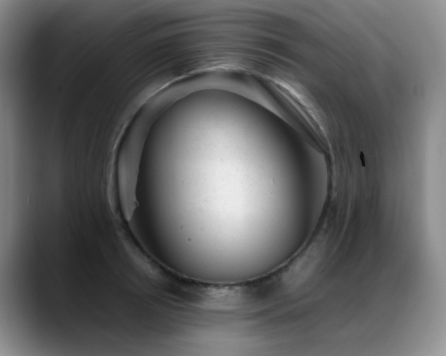 X0000089450850200706151430