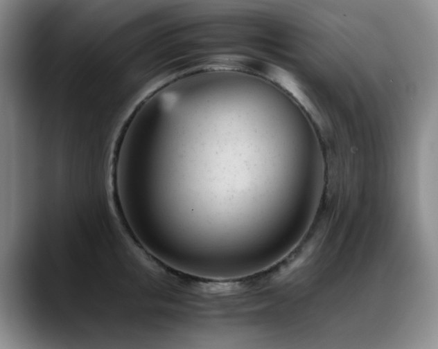 X0000089450853200706151430