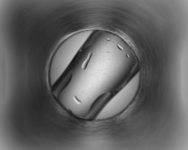 X0000089450854200706151430