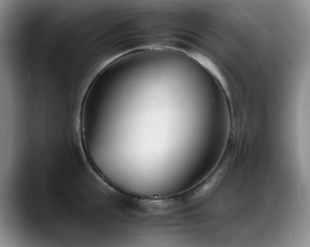X0000089450855200706151430