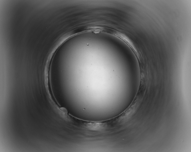 X0000089450859200706151430