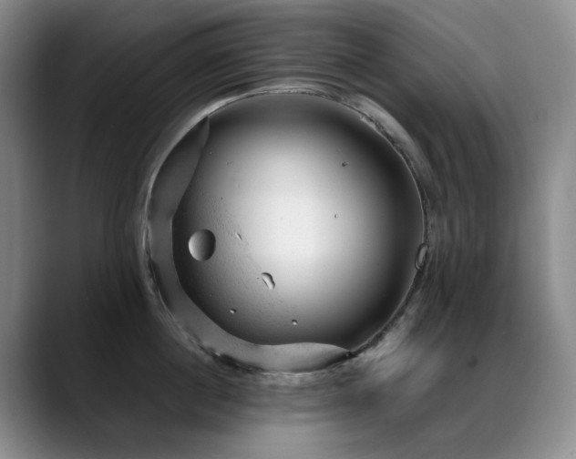 X0000089450860200706151430