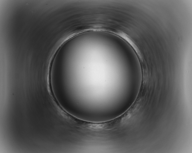 X0000089450861200706151430