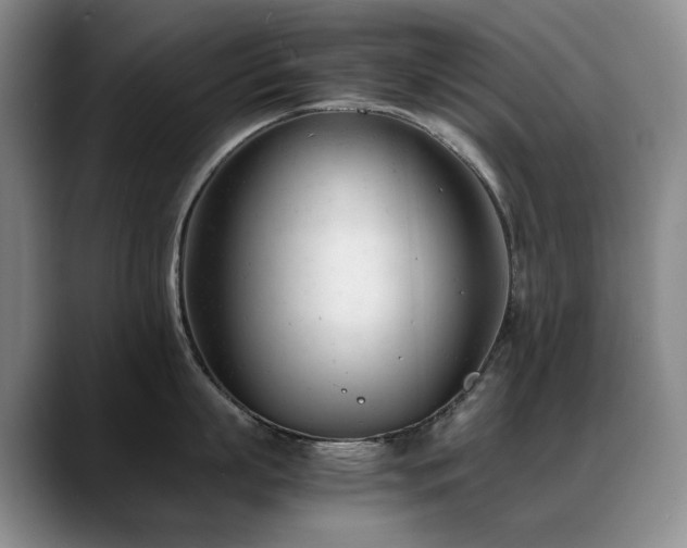 X0000089450863200706151430