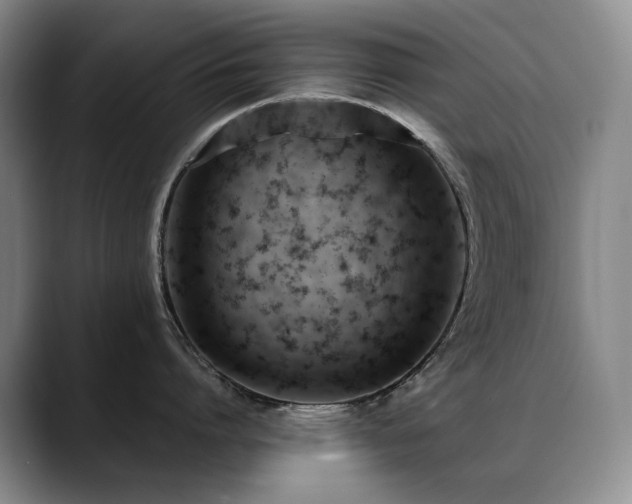 X0000089450864200706151430