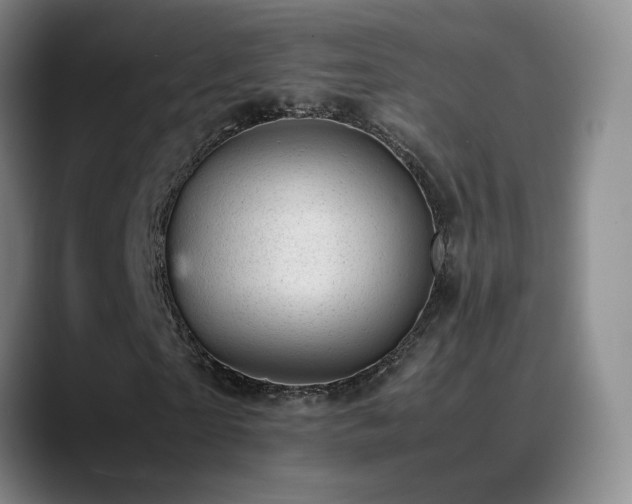 X0000089450865200706151430