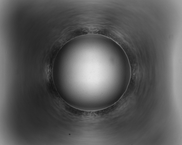 X0000089450866200706151430