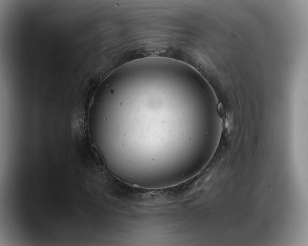 X0000089450867200706151430