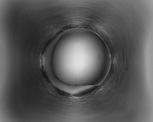 X0000089450868200706151430
