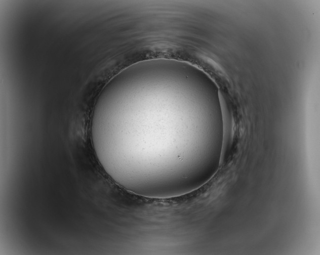 X0000089450869200706151430