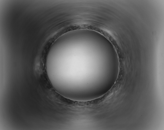 X0000089450871200706151430
