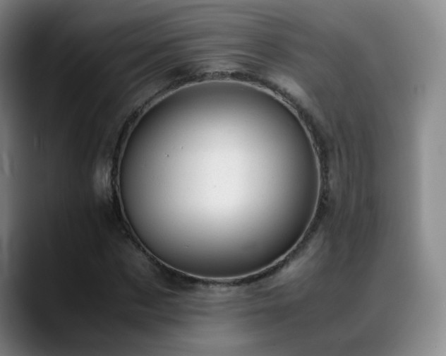 X0000089450873200706151430