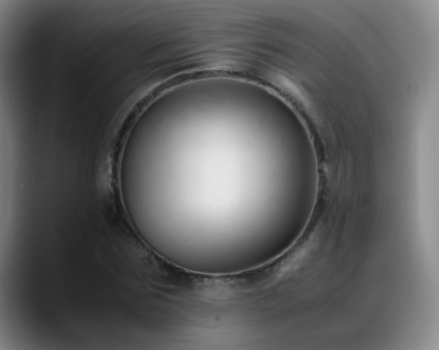 X0000089450875200706151430