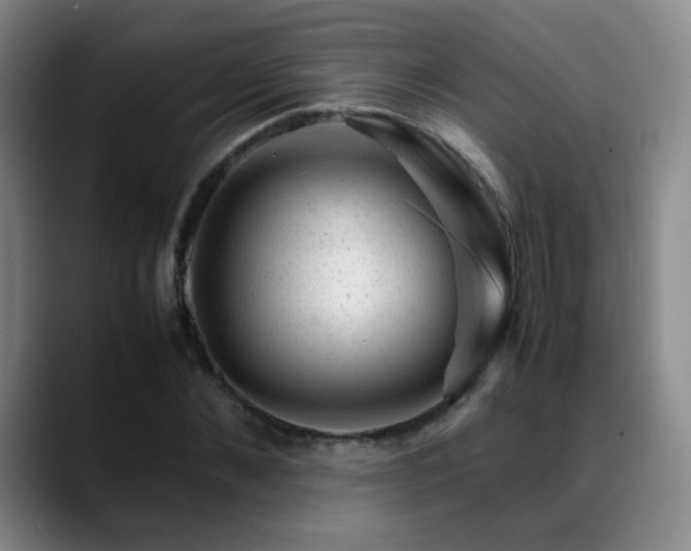 X0000089450876200706151430