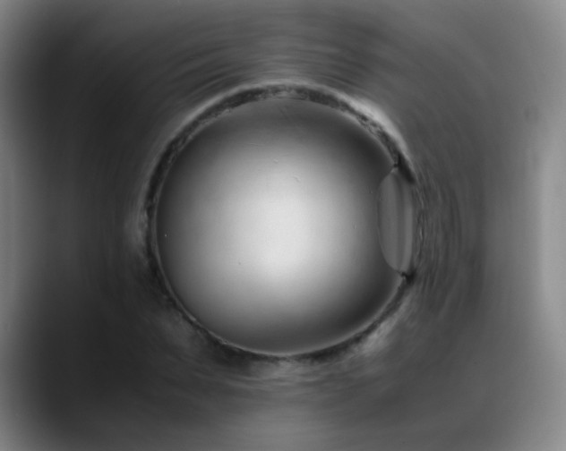 X0000089450879200706151430