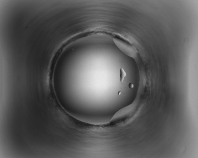 X0000089450880200706151430