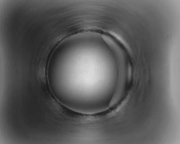 X0000089450881200706151430