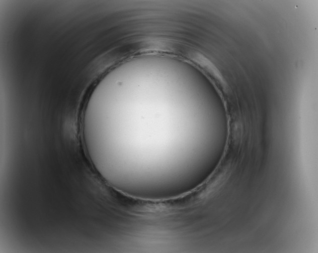 X0000089450882200706151430