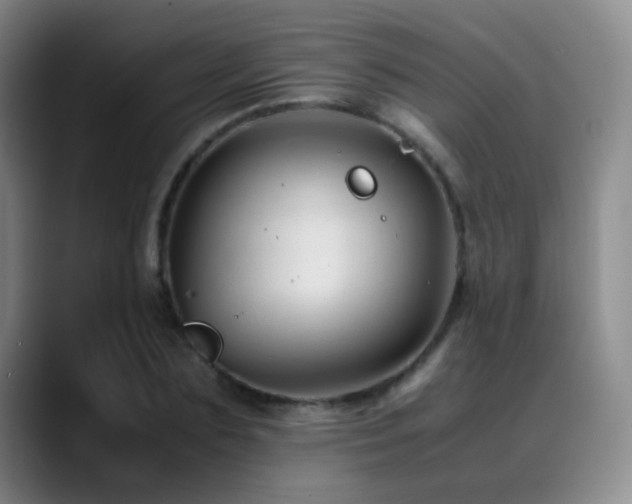 X0000089450883200706151430
