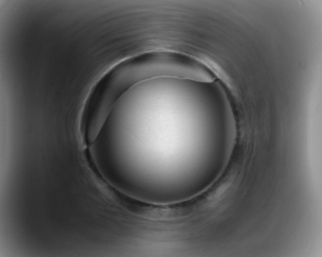 X0000089450885200706151430