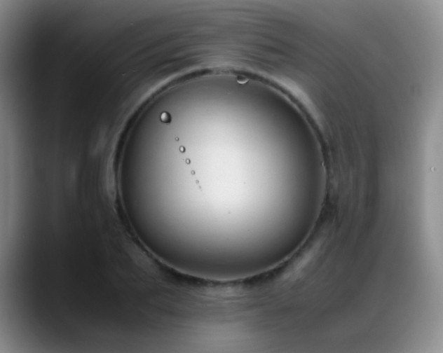 X0000089450887200706151429
