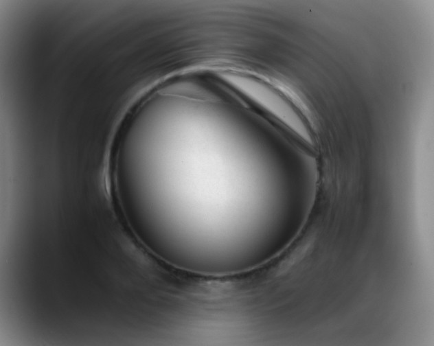 X0000089450888200706151429