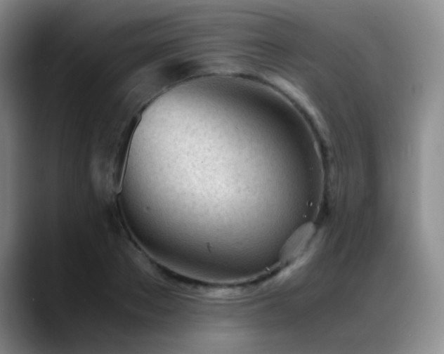 X0000089450889200706151429
