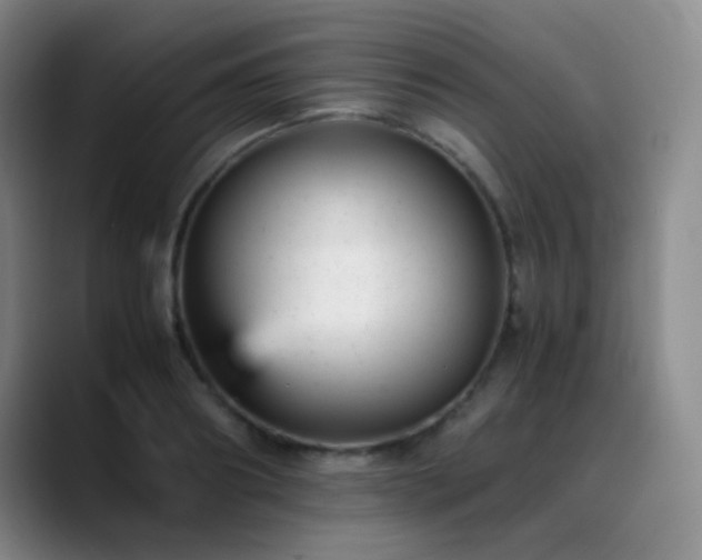 X0000089450890200706151429