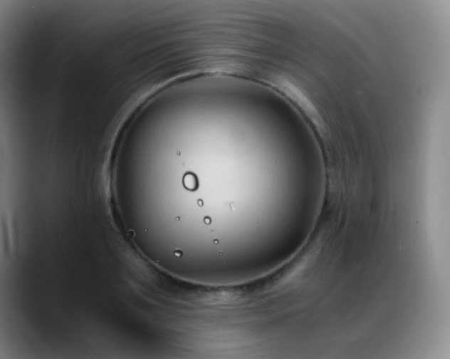 X0000089450891200706151429