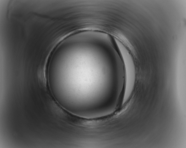 X0000089450892200706151429