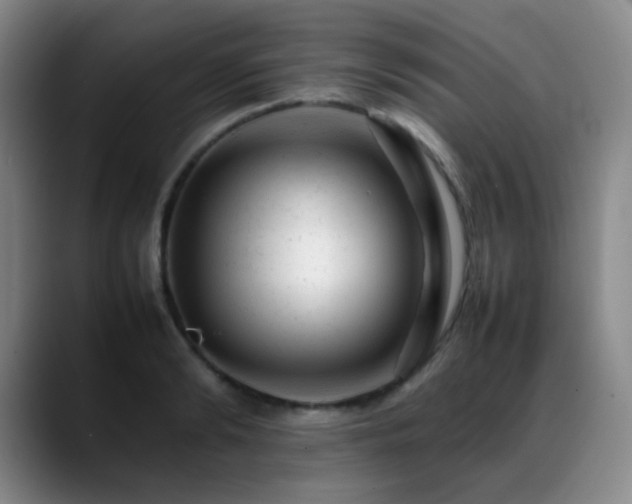 X0000089450894200706151429