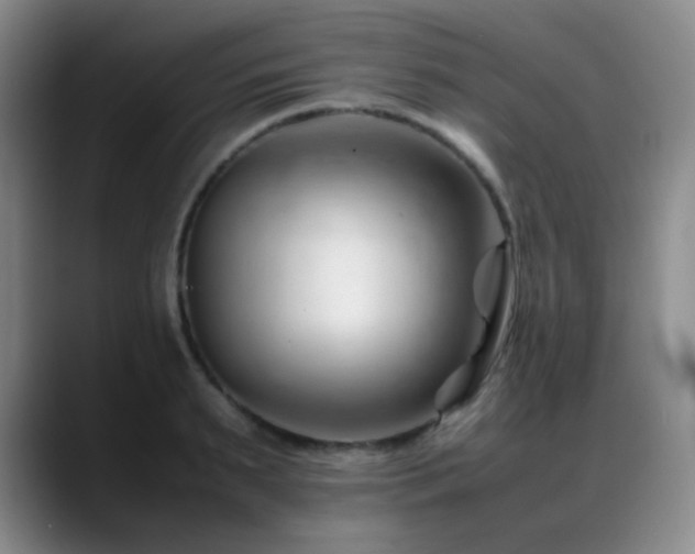 X0000089450895200706151429