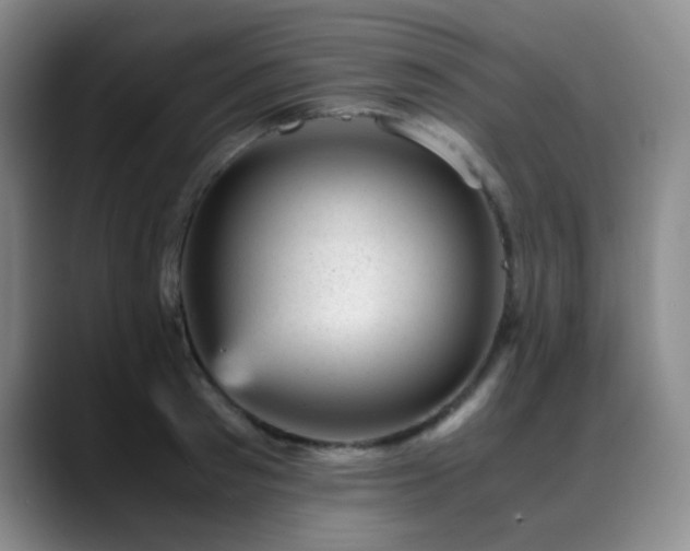 X0000089450897200706151429