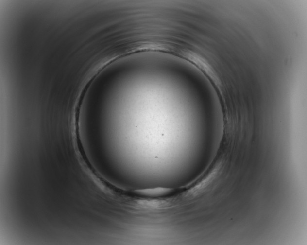 X0000089450898200706151429