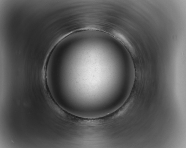 X0000089450900200706151429