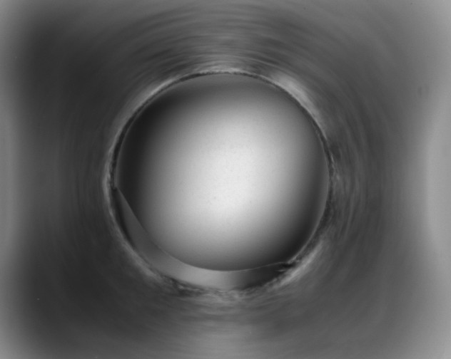 X0000089450901200706151429