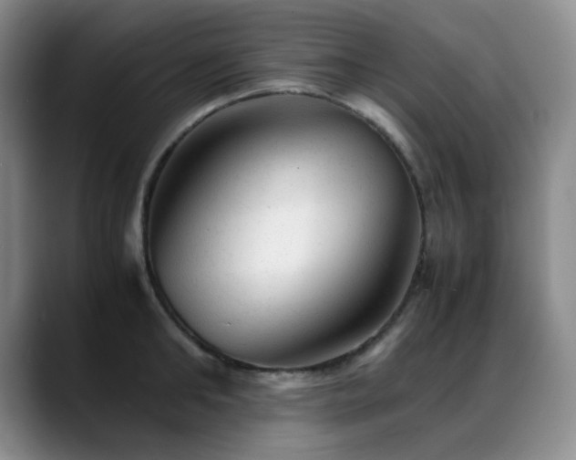 X0000089450902200706151429