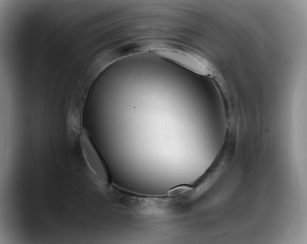 X0000089450905200706151429
