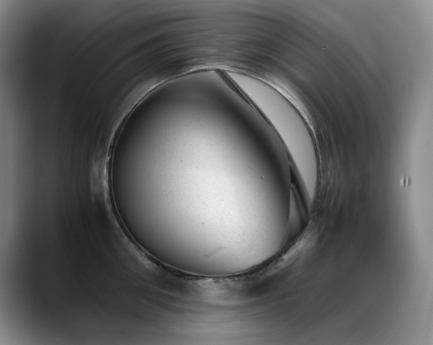 X0000089450906200706151429