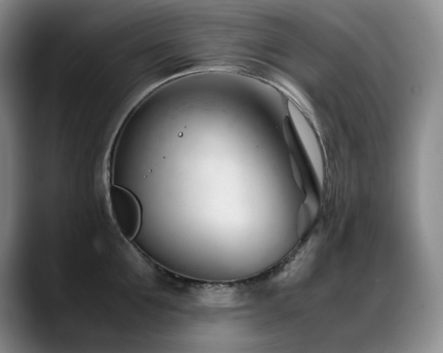 X0000089450907200706151429