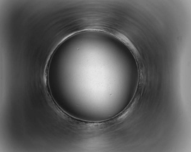 X0000089450908200706151429