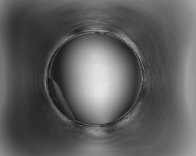 X0000089450909200706151429