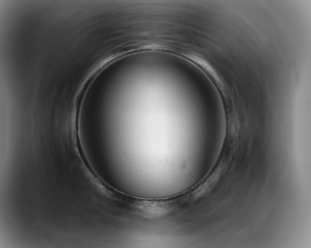 X0000089450910200706151429