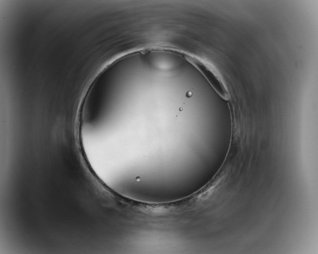 X0000089450911200706151429