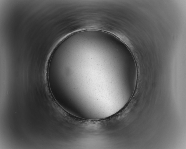 X0000089450912200706151429